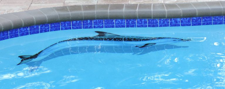Dolphin image on pool side - Kerry Martin Pools